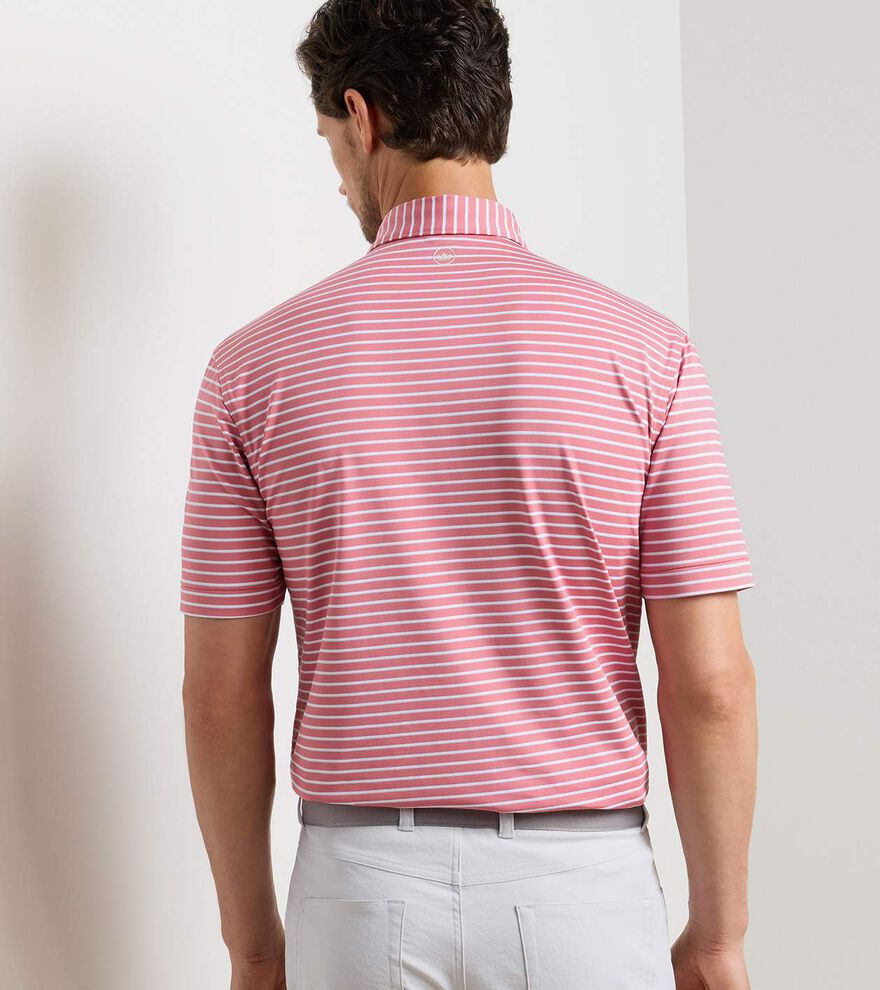 Dunnes Performance Jersey Polo - Alternate Image 2