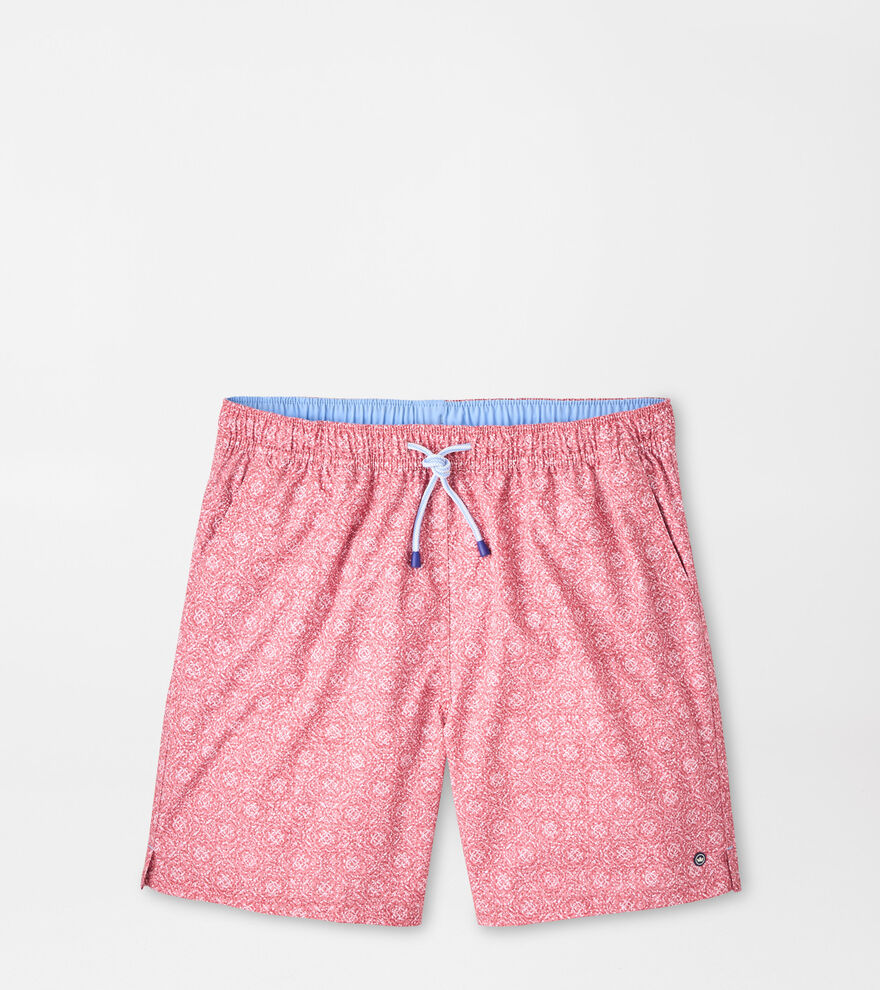 Knox Swim Trunk image number 1