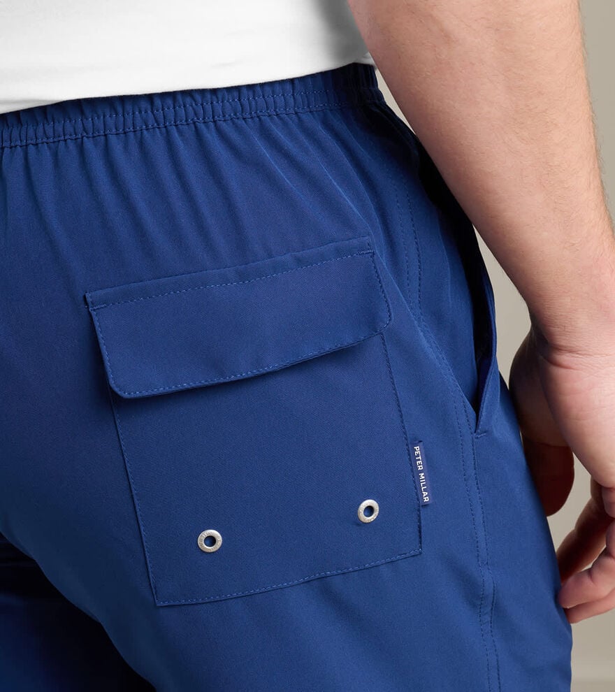 Crown Swim Trunk image number 5