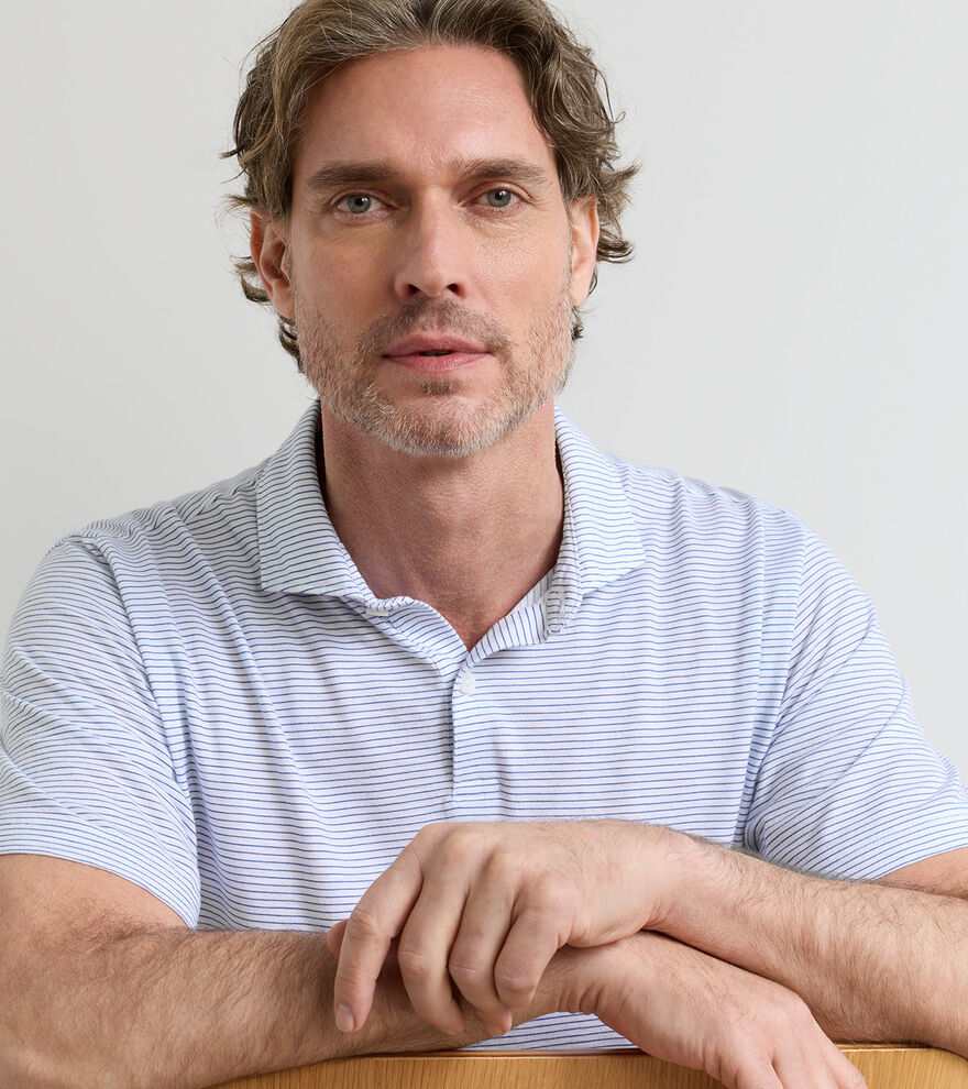 Journeyman Stripe Polo image number 4