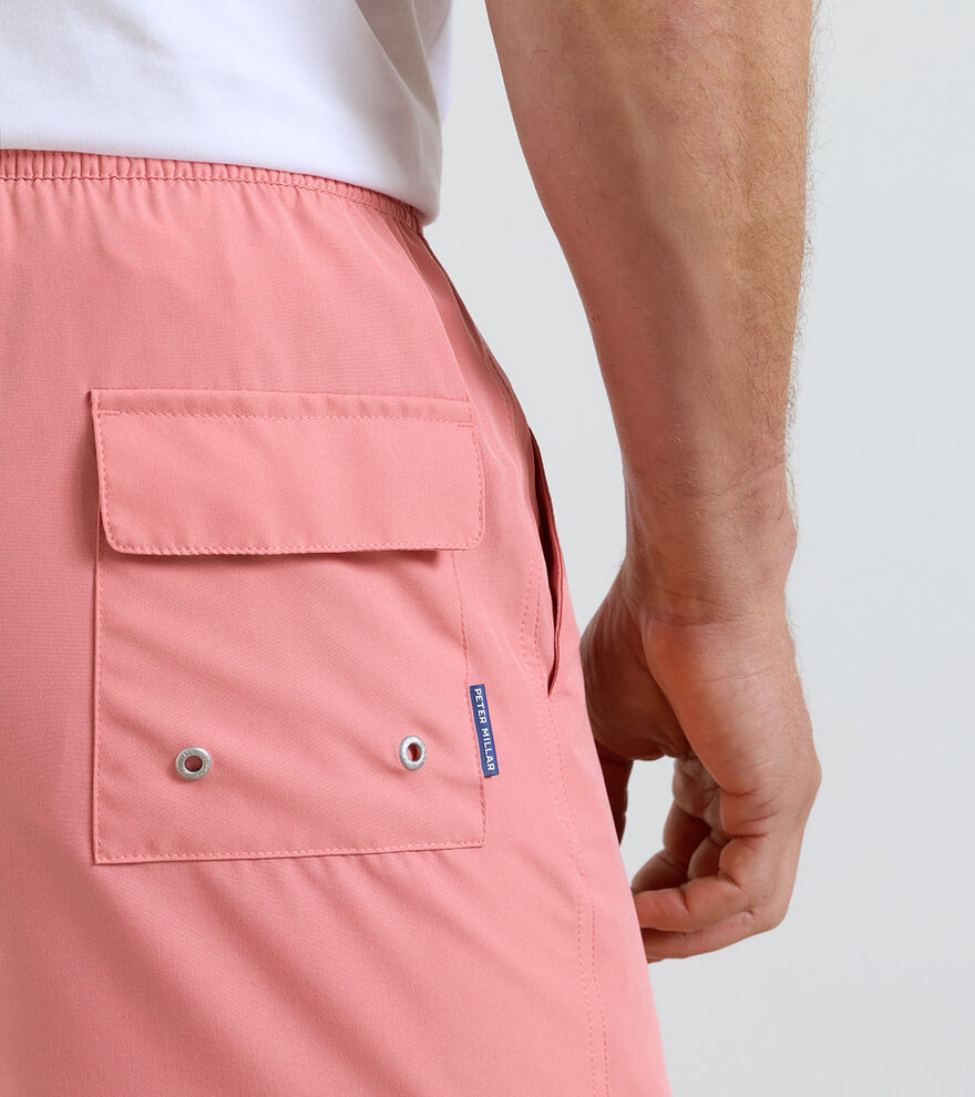 Crown Swim Trunk image number 4