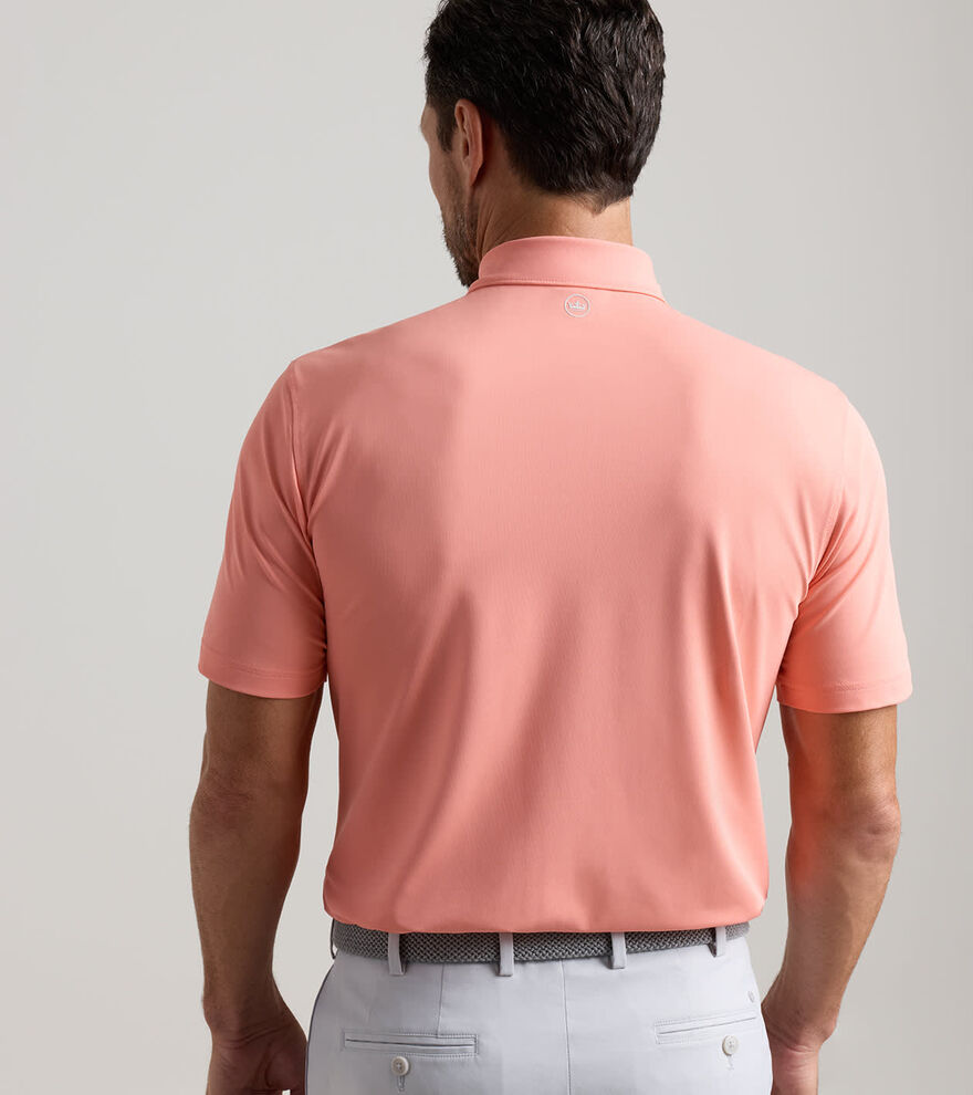 Solid Performance Mesh Polo image number 3