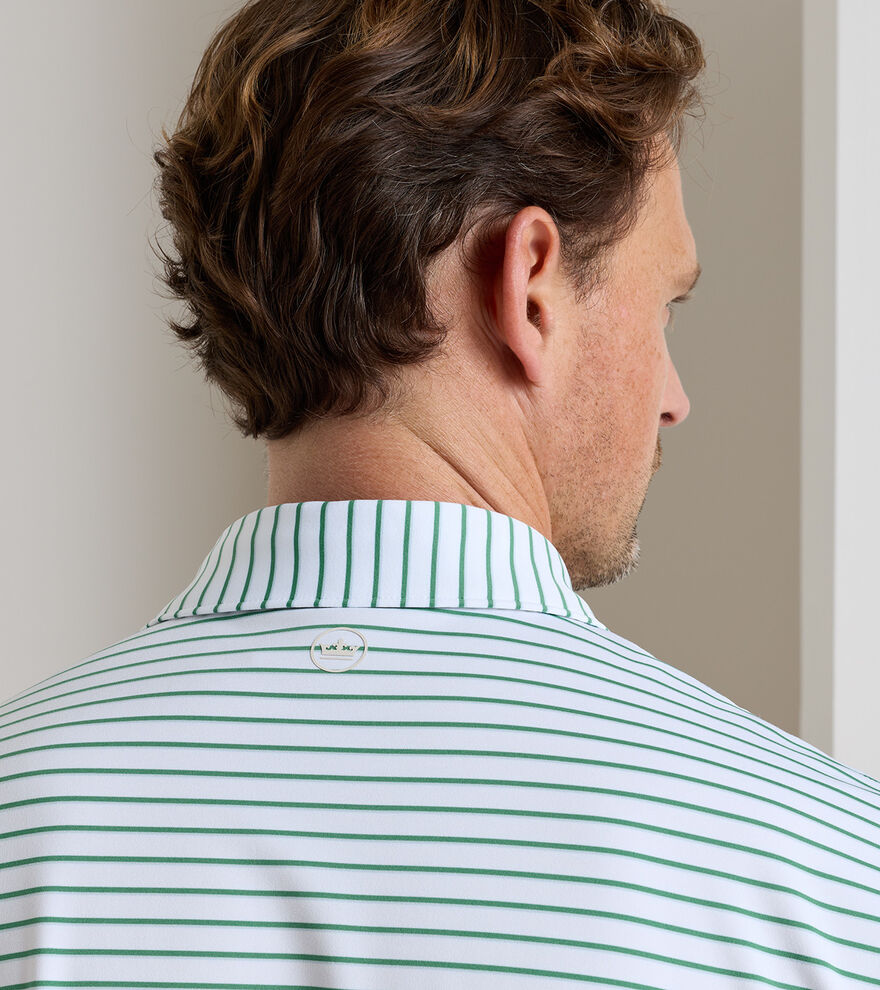 Dunnes Performance Jersey Polo image number 4