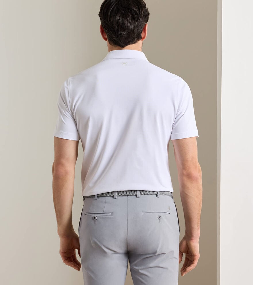 Soul Performance Mesh Polo - Alternate Image 2