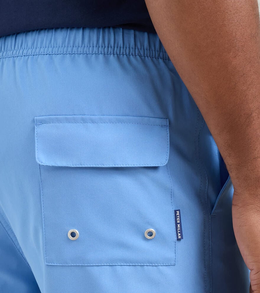 Crown Swim Trunk image number 4