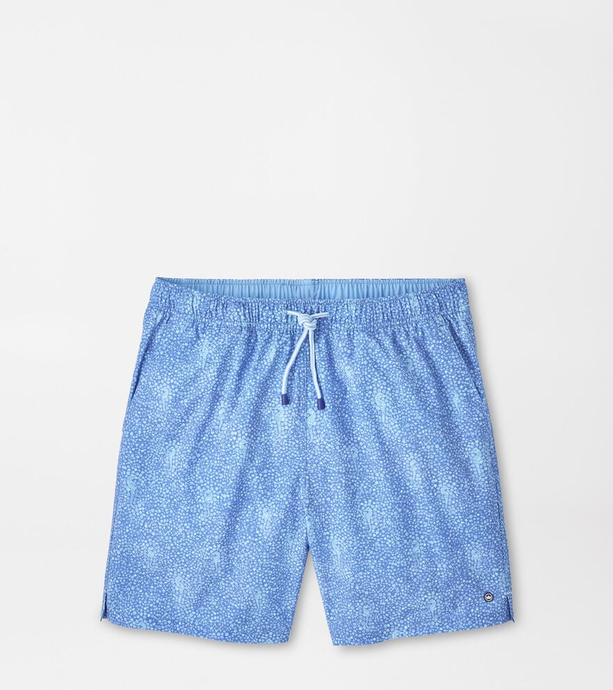 Sea Glass Seahorses Swim Trunk image number 1