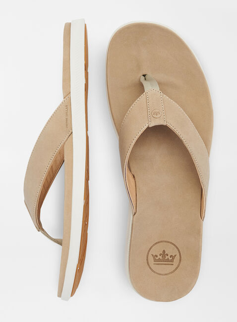 ferragamo ballet slippers