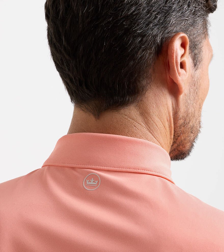 Solid Performance Mesh Polo image number 4