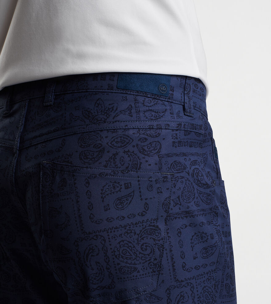eb66 Delos Paisley Performance Five-Pocket Pant image number 4