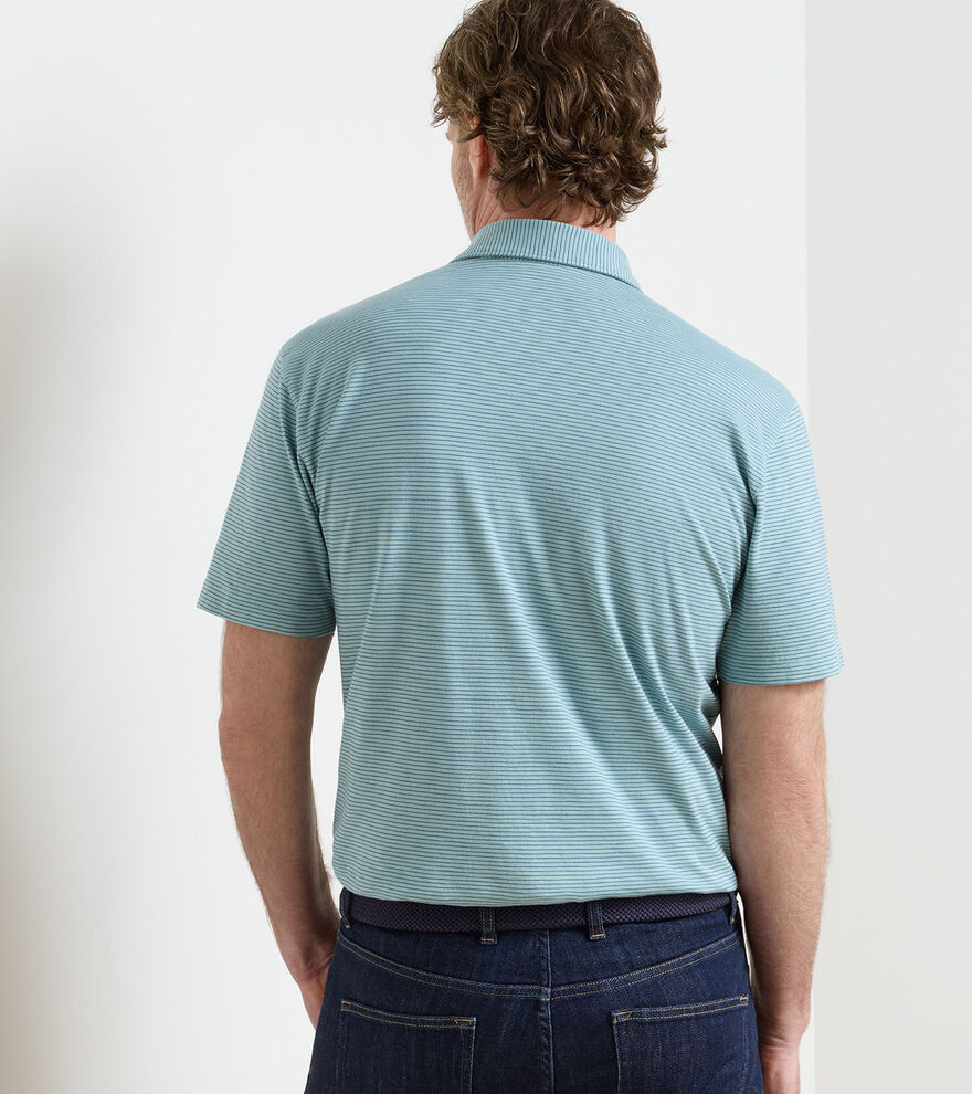 Journeyman Stripe Polo image number 3
