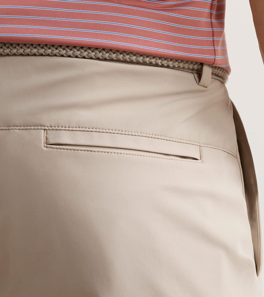 Bingham Performance Short image number 4