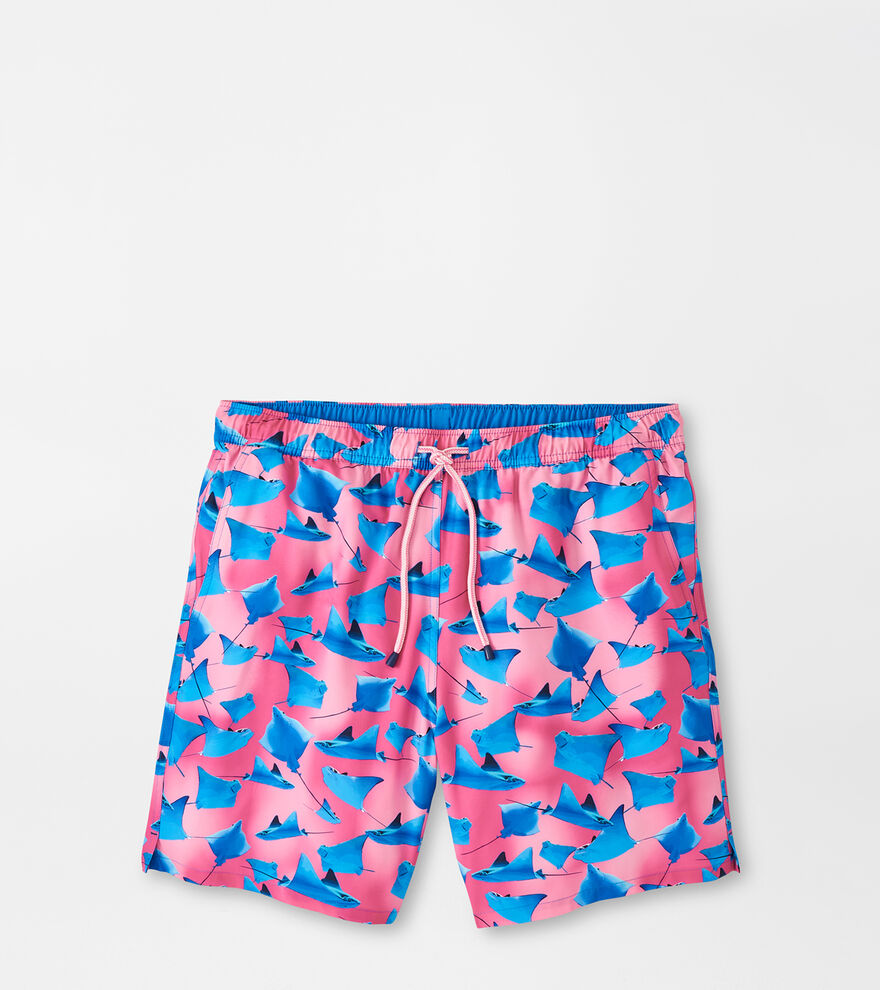 Catchin' Rays Swim Trunk image number 1