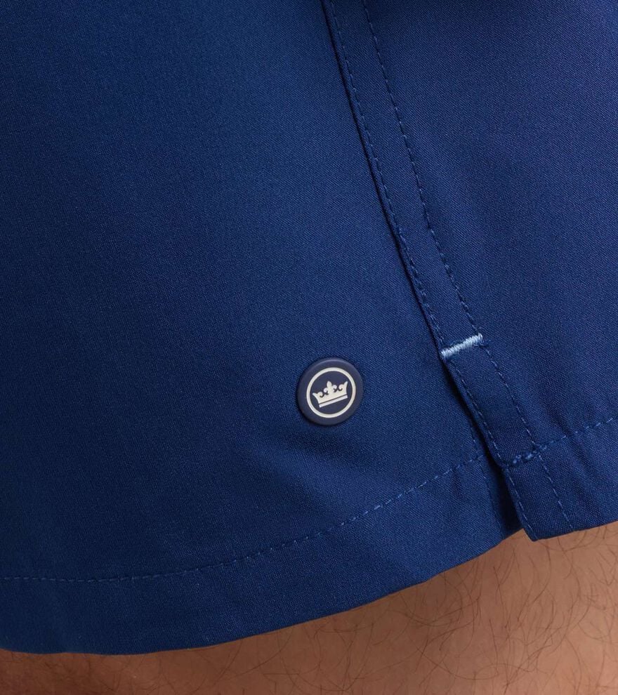 Crown Swim Trunk image number 4