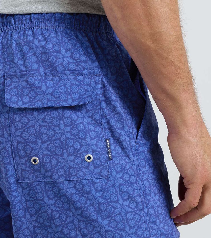 Turritella Crown Swim Trunk image number 4