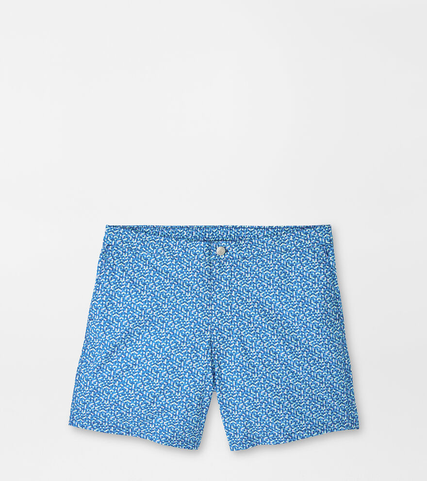 Palma Dot Swim Trunk image number 1