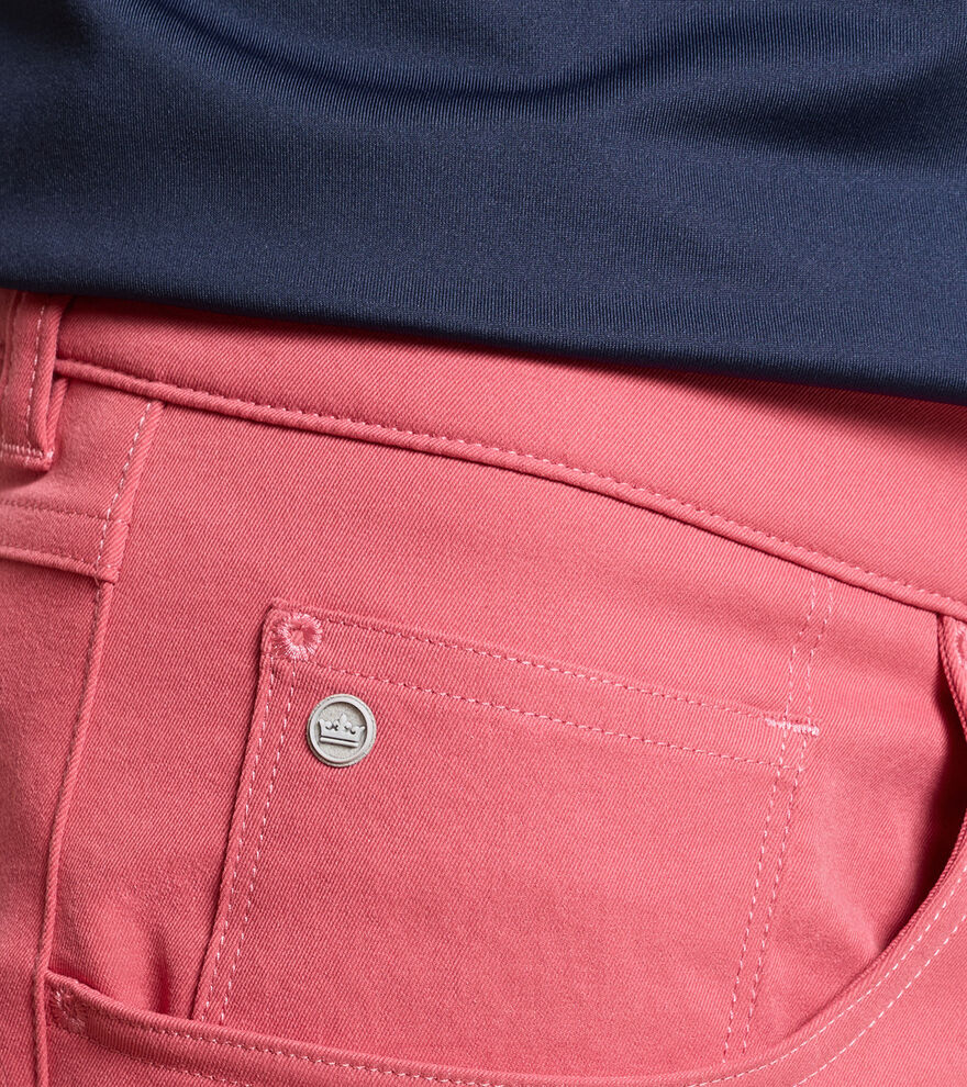 eb66 Performance Five-Pocket Pant image number 4