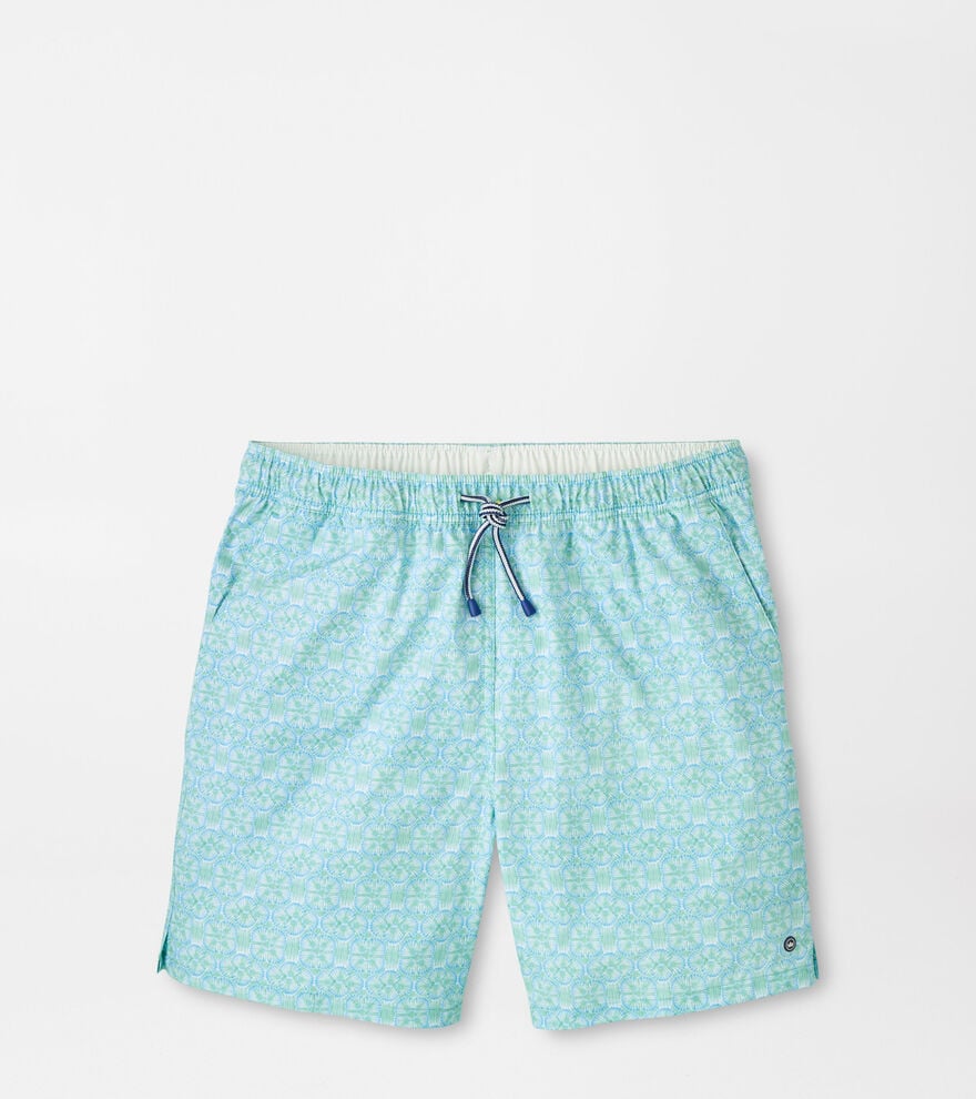 Tide Lines Swim Trunk image number 1