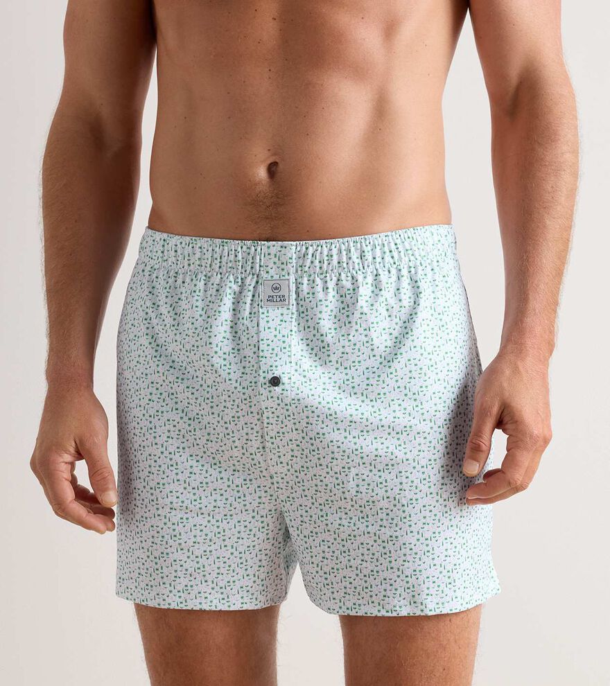 Cheers Performance Boxer Short - Alternate Image 1