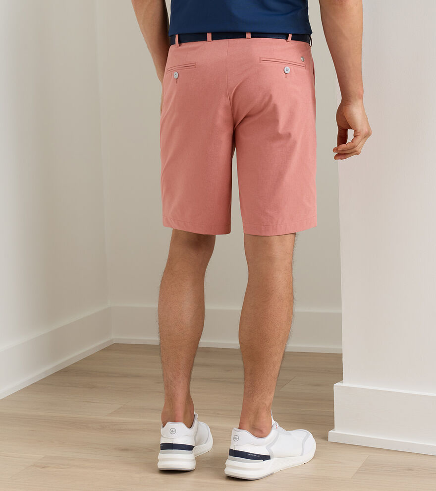 Surge Performance Short image number 3