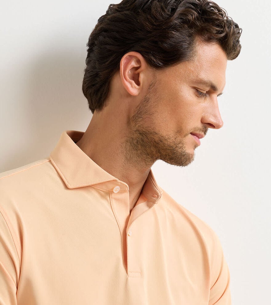 Soul Performance Mesh Polo - Alternate Image 4