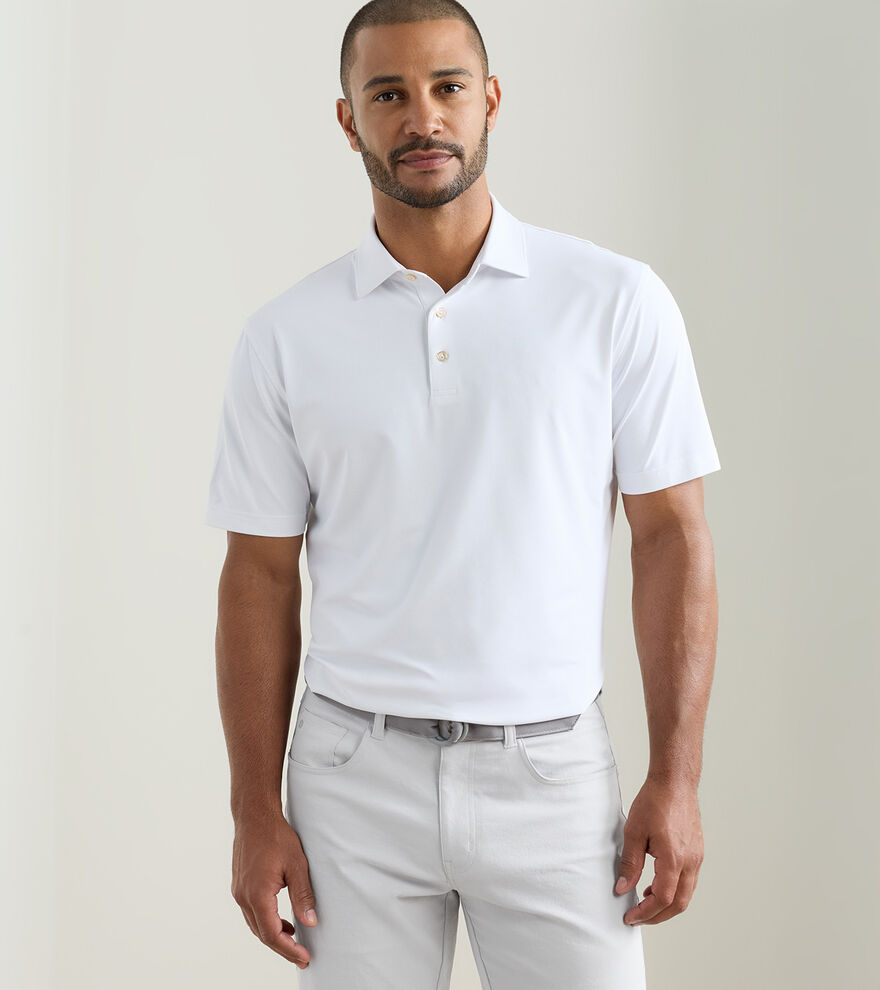 Solid Performance Mesh Polo image number 2