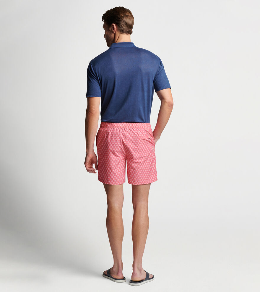 Fiji Sunburst Swim Trunk image number 3