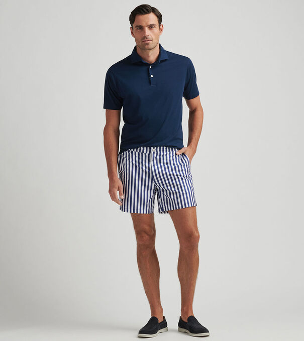 Awning Stripe Swim Trunk