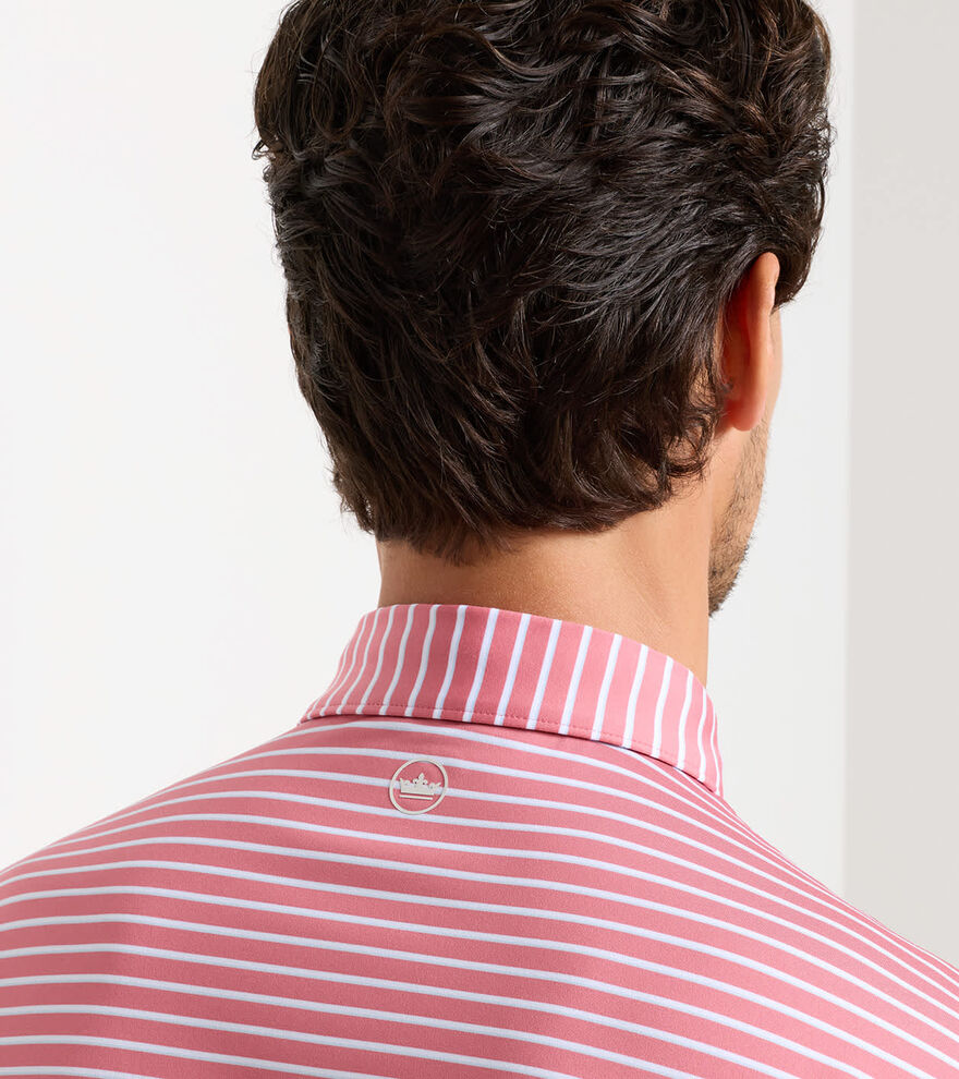 Dunnes Performance Jersey Polo - Alternate Image 3