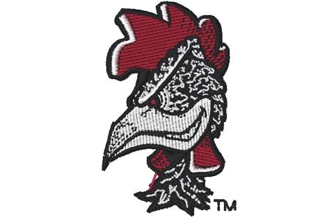 South Carolina Gamecocks