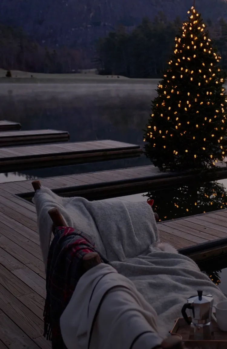 Christmas Tree on Lake Dock