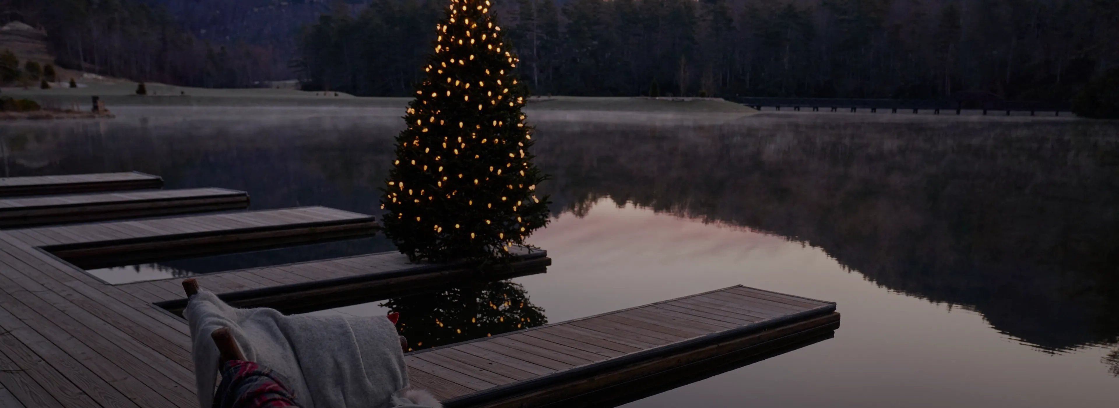 Christmas Tree on Lake Dock