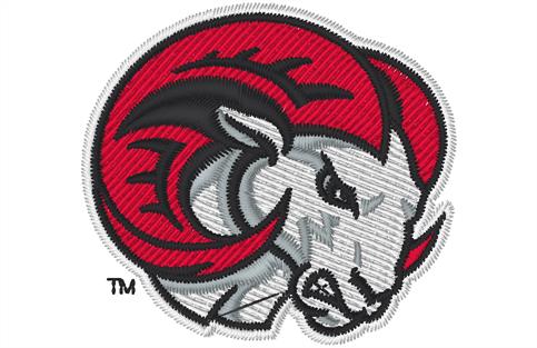 Winston Salem Statewomens-collegiate