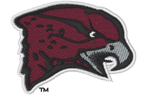 Maryland Eastern Shorewomens-collegiate