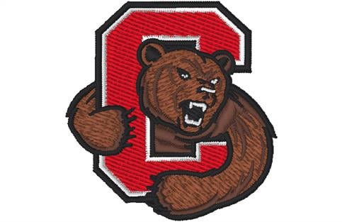 Cornellwomens-collegiate