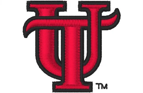 University of Tampayouth-collegiate